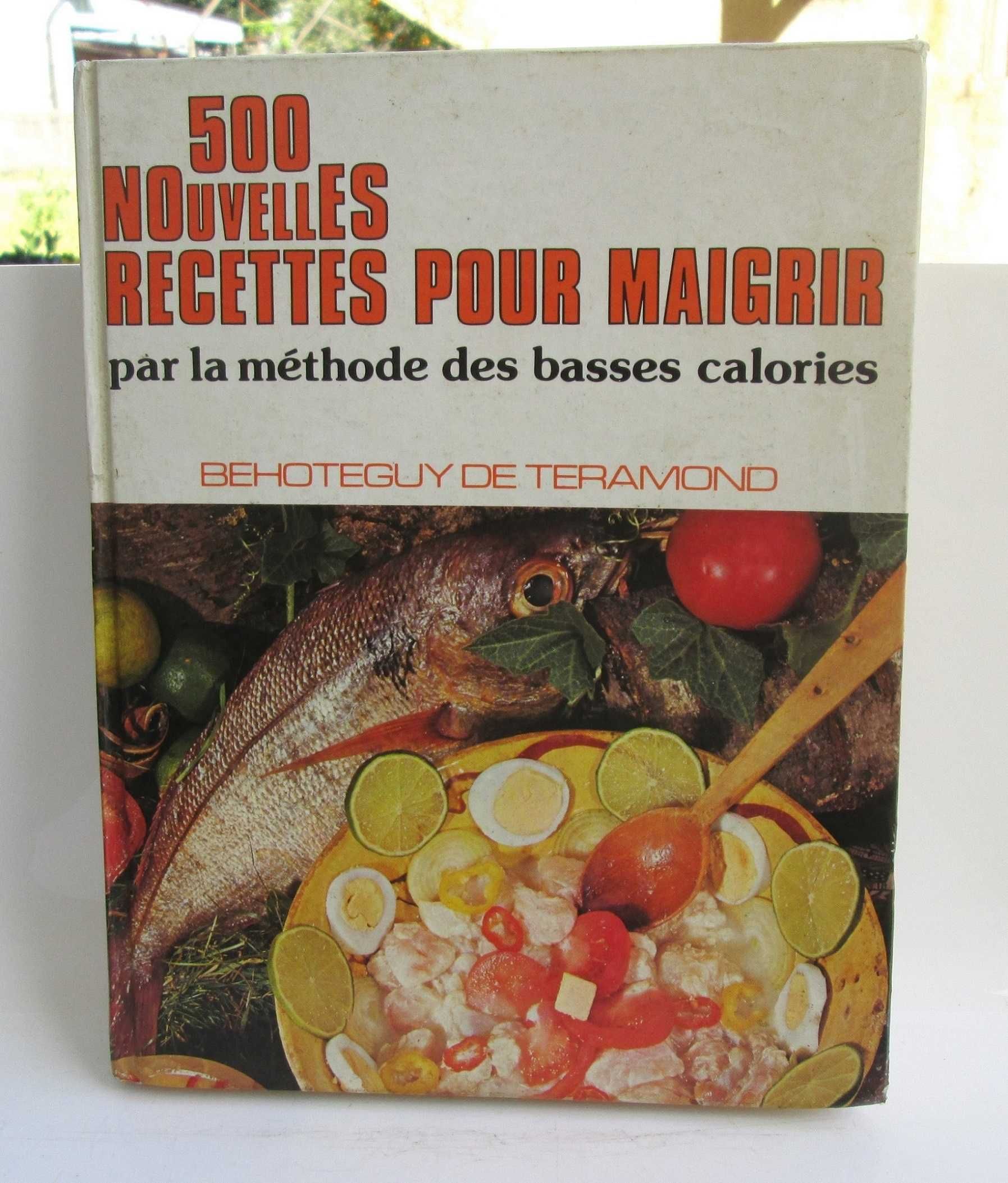 Livro 500 Nouvelles recettes pour maigrir, Behoteguy de Teramond