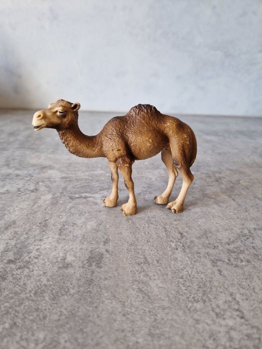 Schleich Wielbłąd Samica Dromadera 14355 z 2005