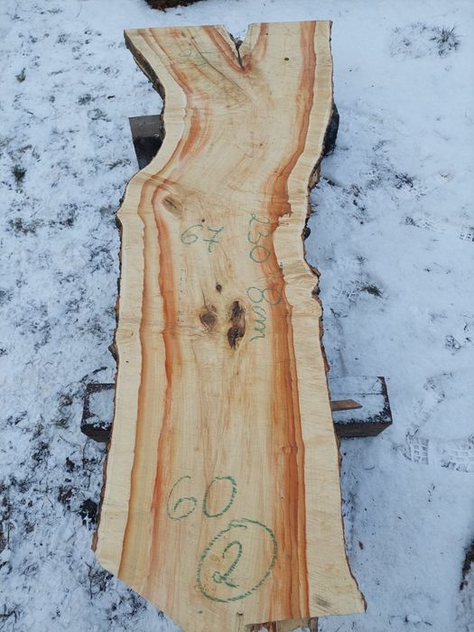 Plastry Dębowe Robinia i Wiele innych