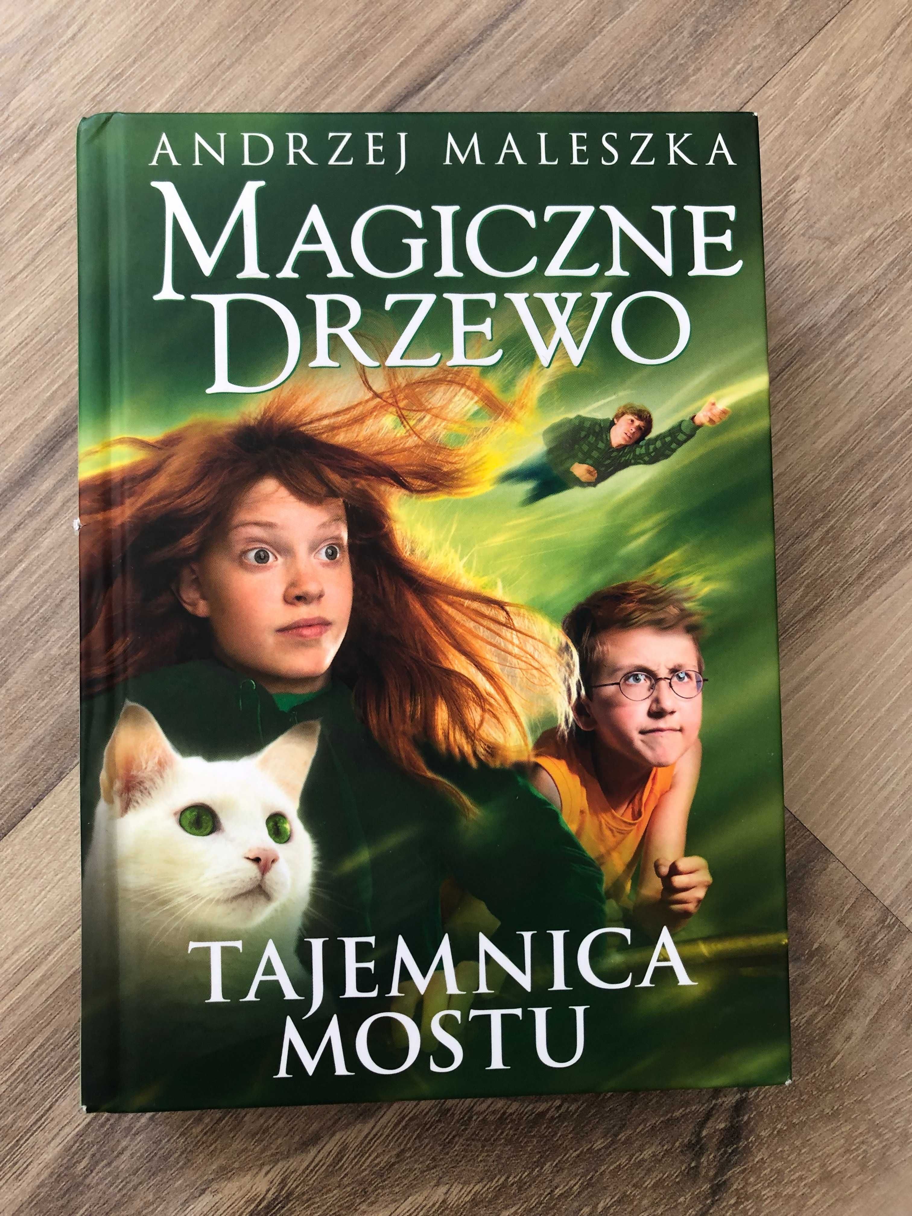 Zestaw 3 książek z serii MAGICZNE DRZEWO.