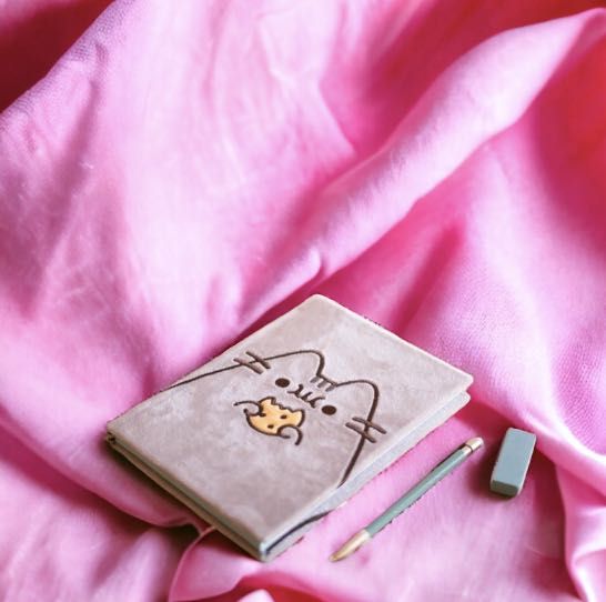 PUSHEEN notes pamiętnik pluszowy oprawie zeszyt KOCIARY kot KOTEK