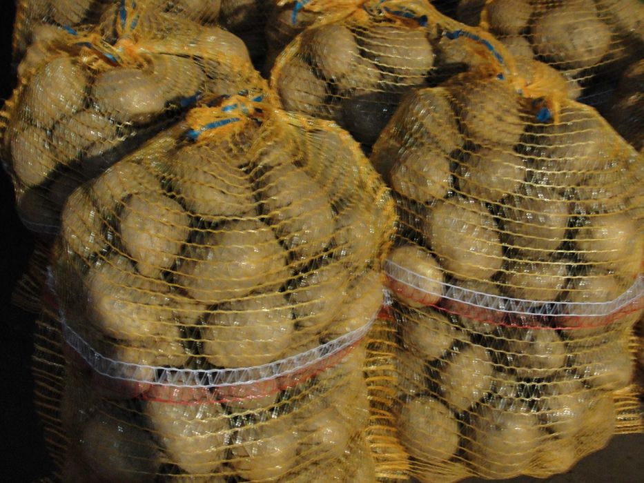 Ziemniaki Vineta transport gratis zakup z centrali