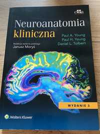 Neuroanatomia Young ,