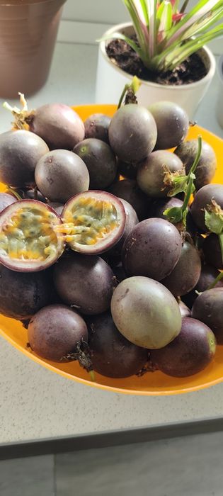 Vendo produtos biológicos