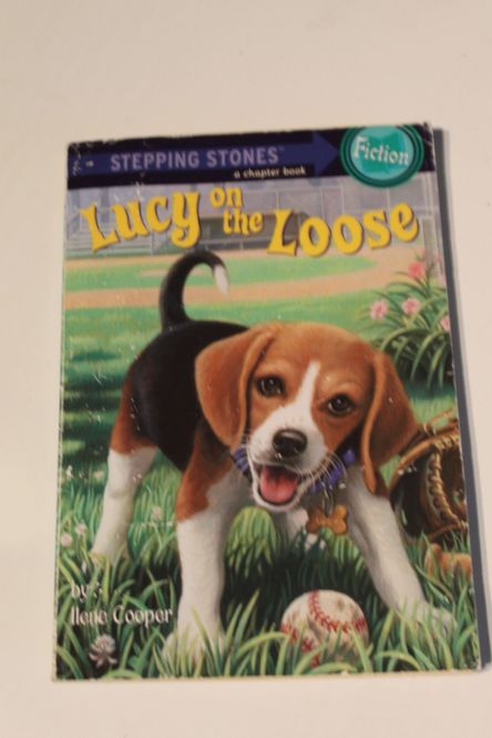 Livro em Inglês - Lucy on the Loose