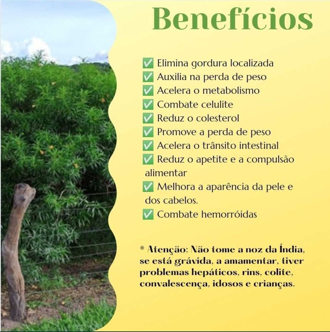 PROMOÇÃO - Emagrecimento 1 mês/15€
