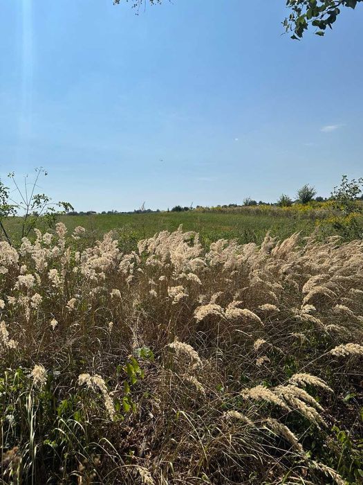 Продаж земельної ділянки с. Лище