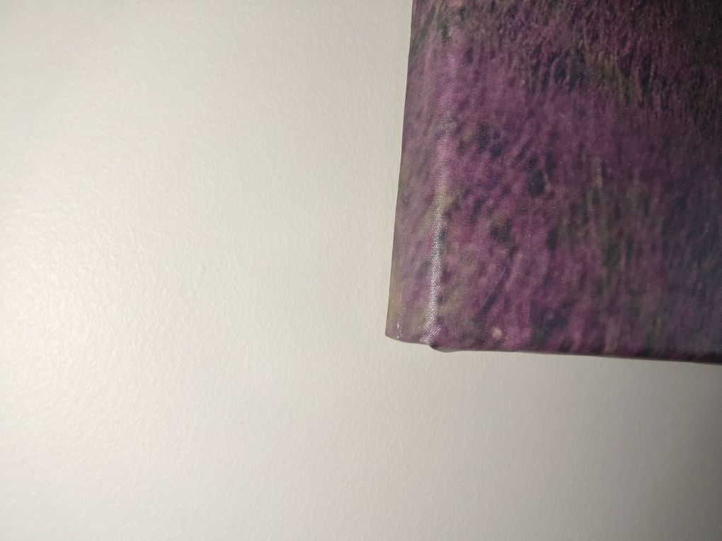 Duży Obraz lawenda lawendowe pole