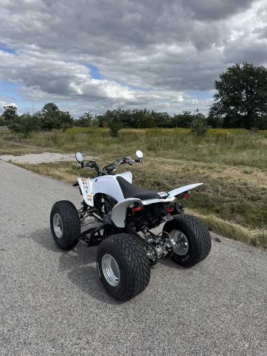 Quad Yamaha YFM 250 Raptor, homologacja