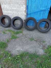 Зимова гума Premiorri 205/55 R16