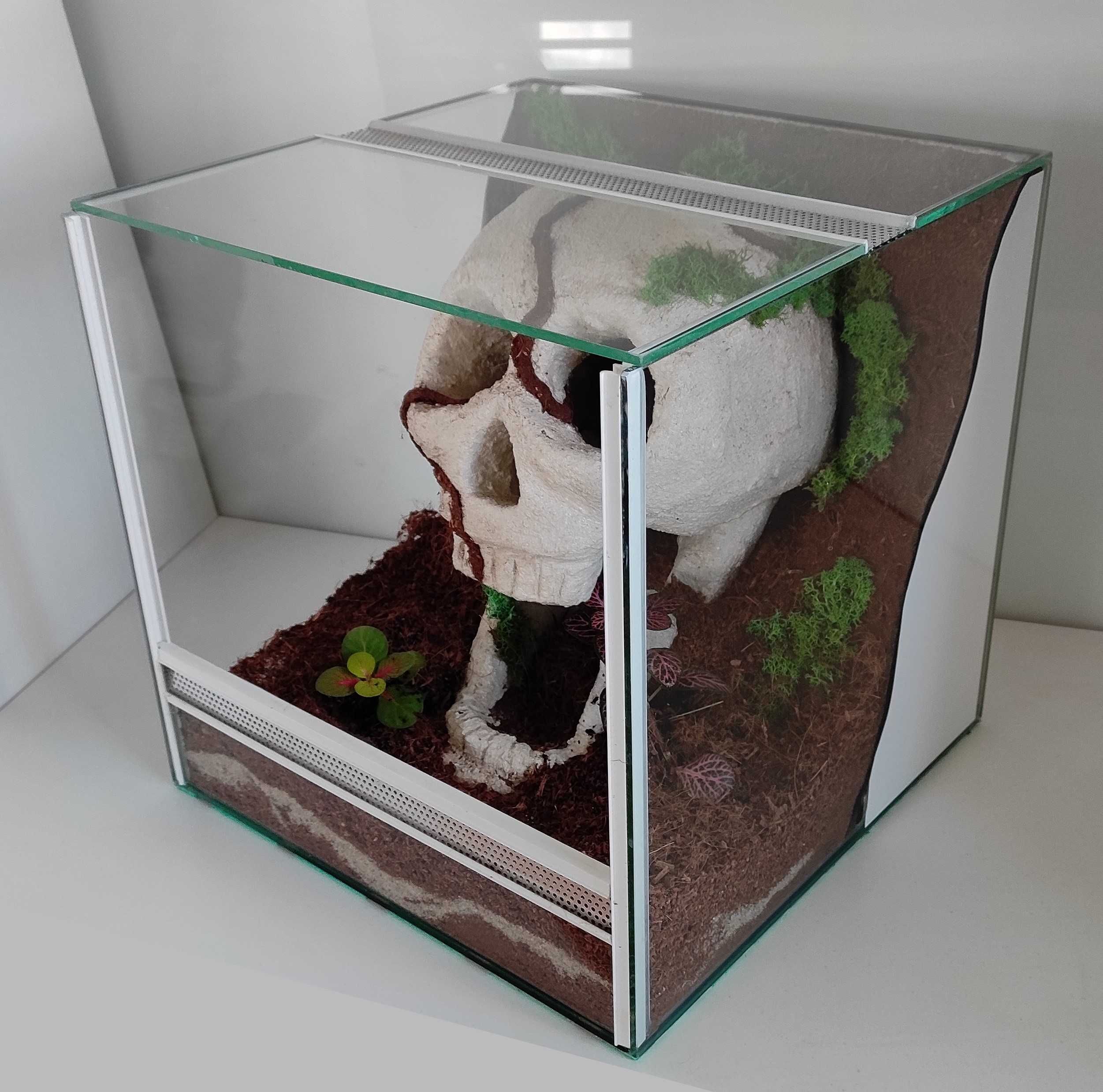 Terrarium dla pajaka, ptasznika,, tarantuli, TW20Cz AquaWaves