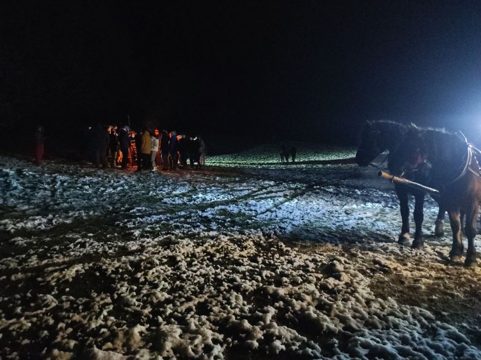 Zapraszamy na kuligi do Istebnej