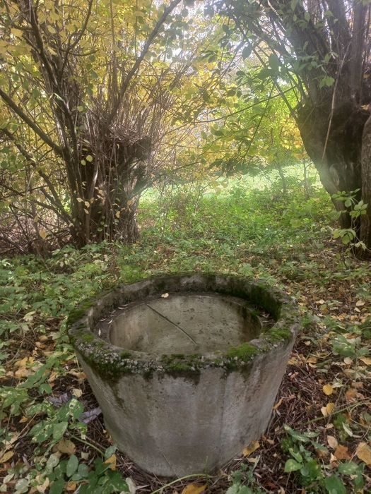 Дачна ділянка, продаж