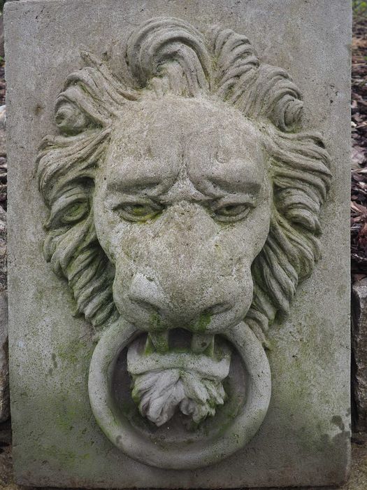 Plaskorzezba. Glowa lwa