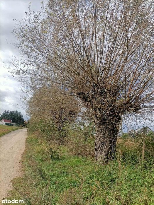 Działka pod zabudowę blisko lasu i jeziora