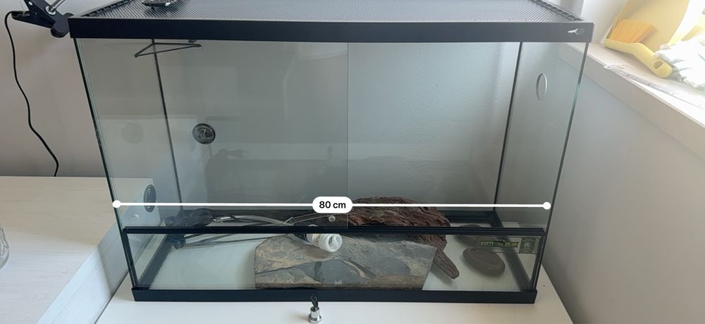 Terráreo para repteis completo