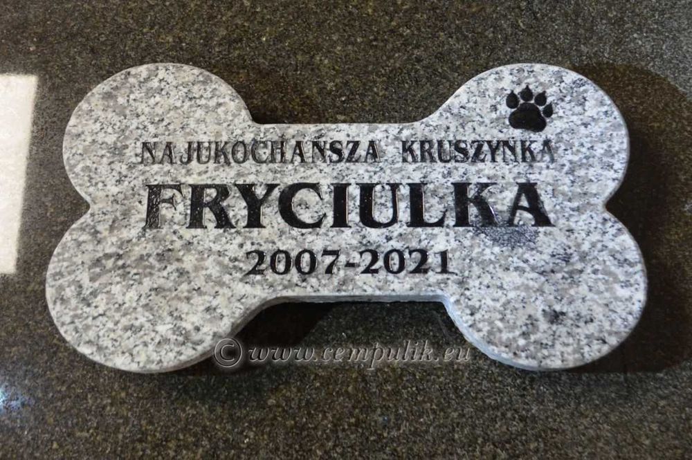 Kamienny pomnik dla psa w kształcie małej kości