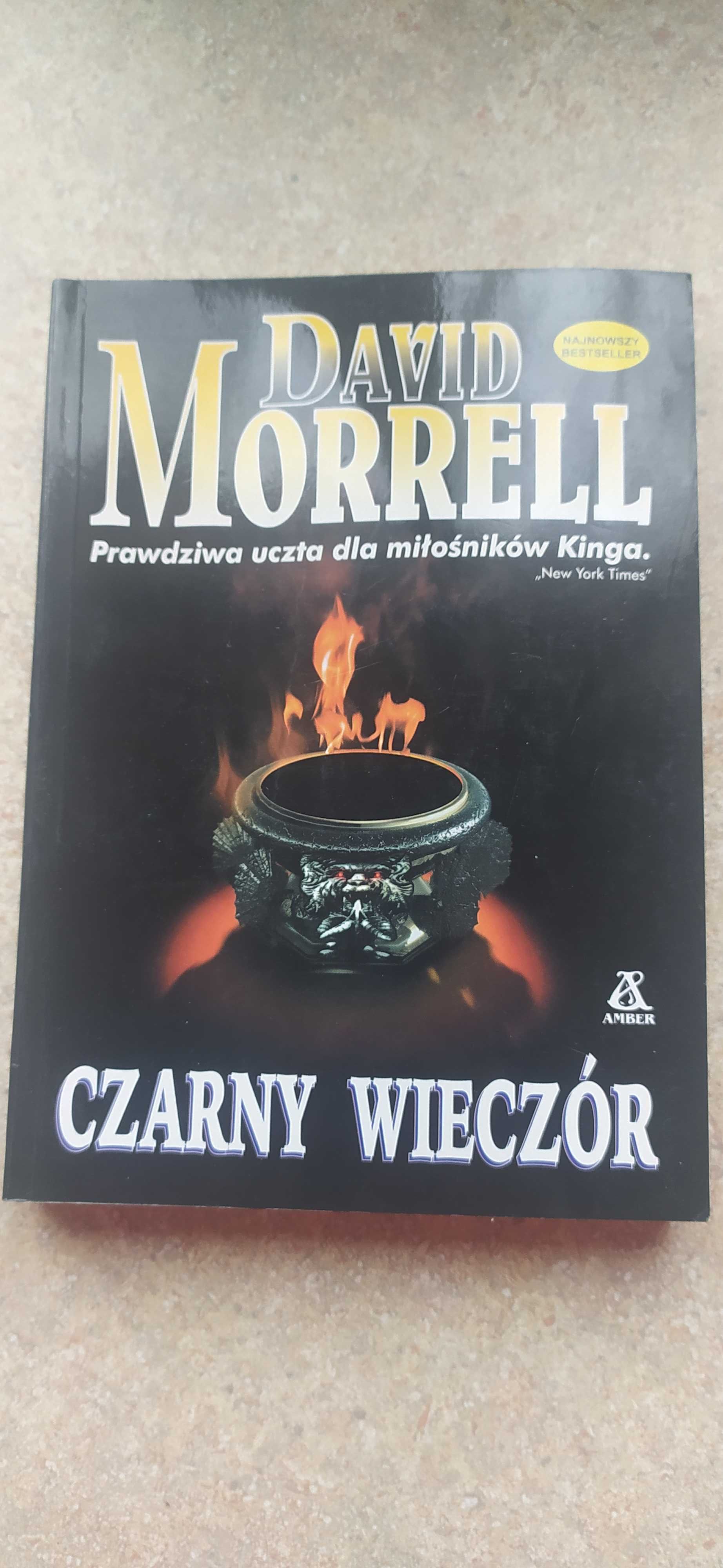 Czarny wieczór David Morrell