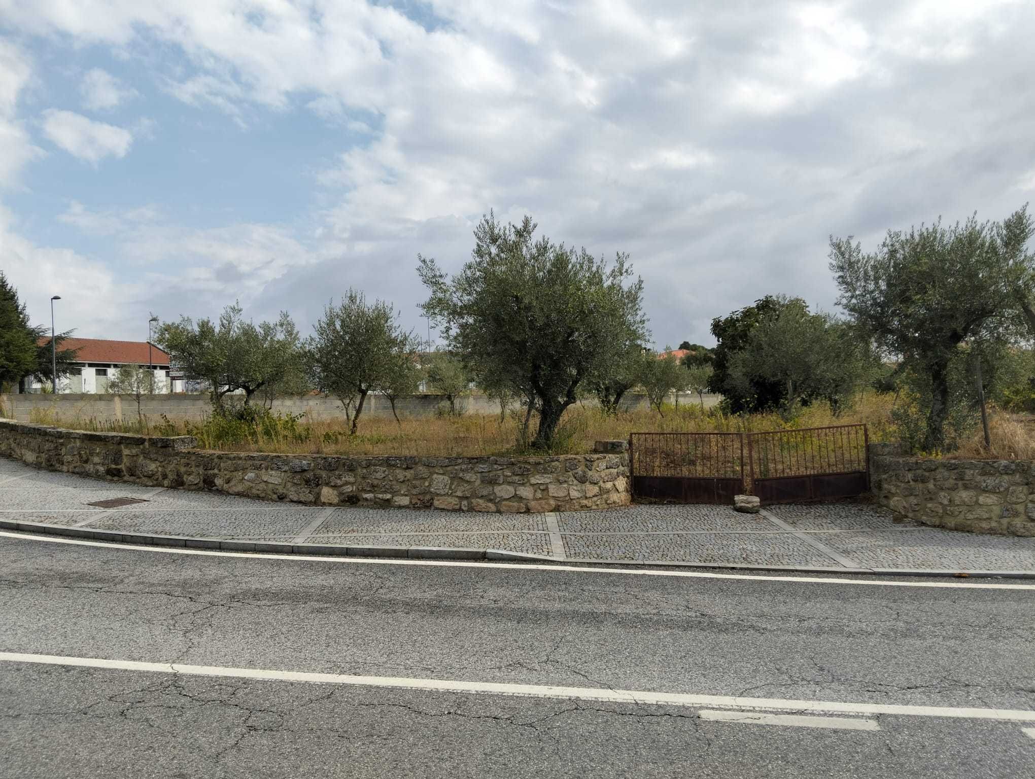 Lote na vila de Almeida