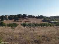 Monte Alentejano com terreno de 2,5 ha em Vila Viçosa, Évora