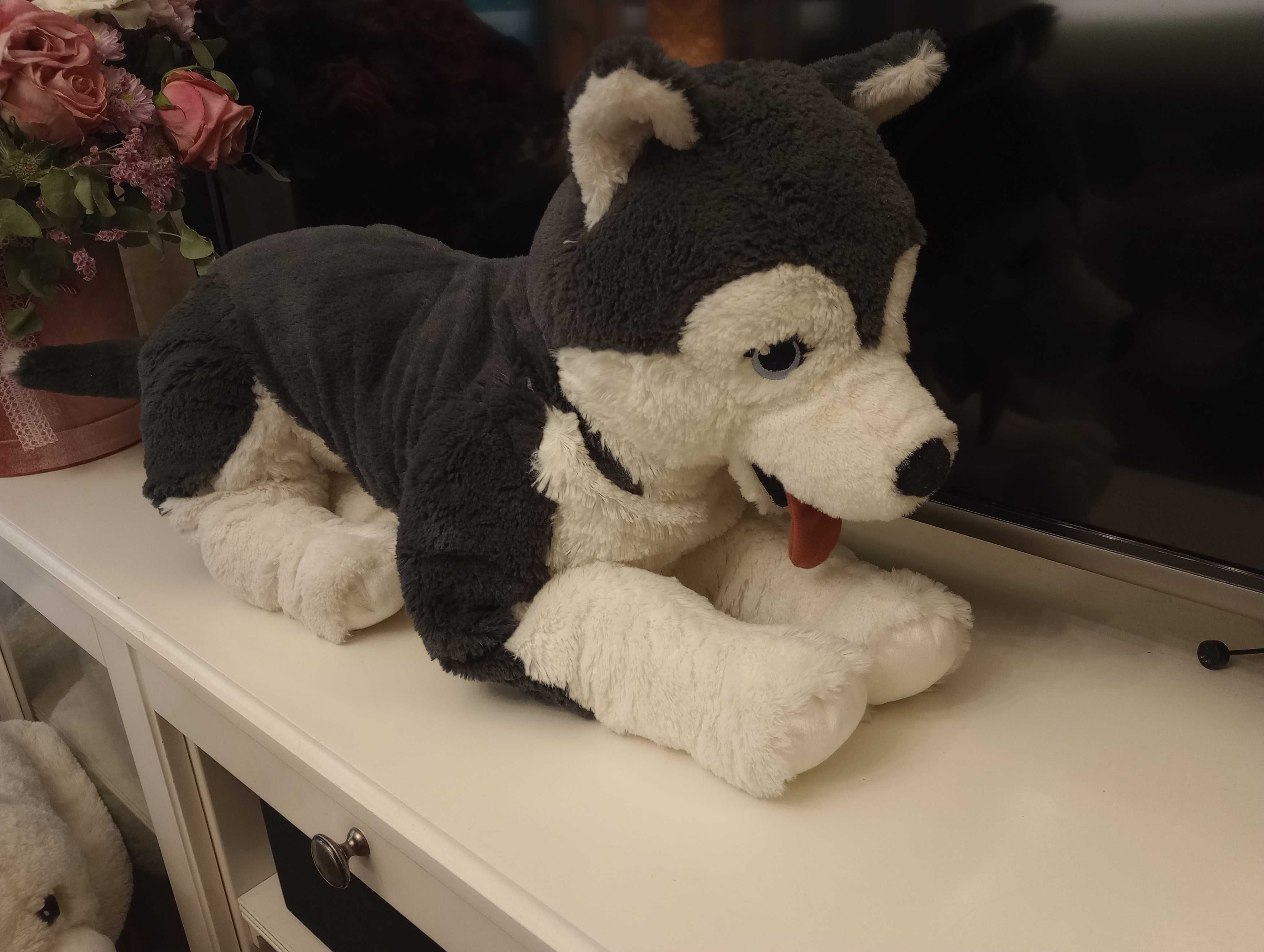 IKEA husky pluszak maskotka nowy gigant