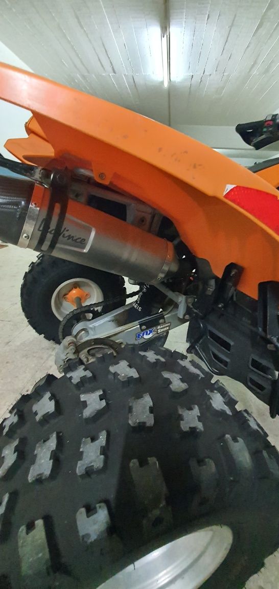 Polaris Predator 500 TroyLee