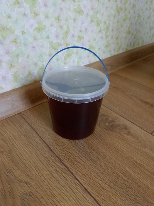 Гірський мед. (Пасіка в Підбужі)