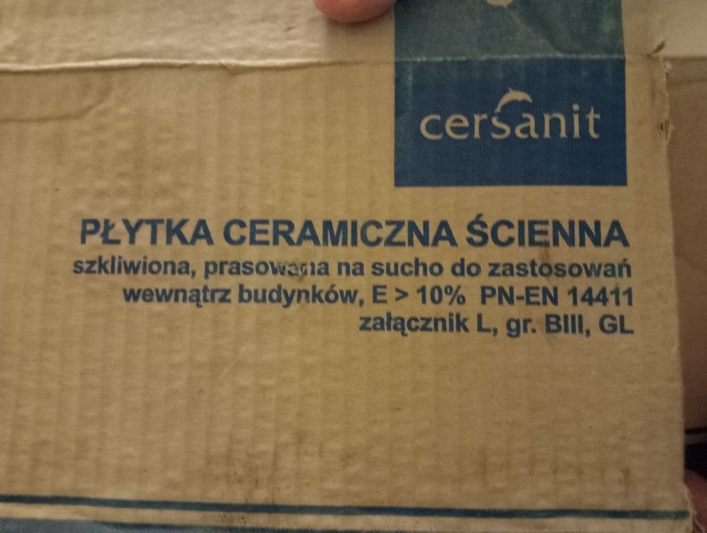 Płytka ceramiczna SONATA kwiatek S1 b1