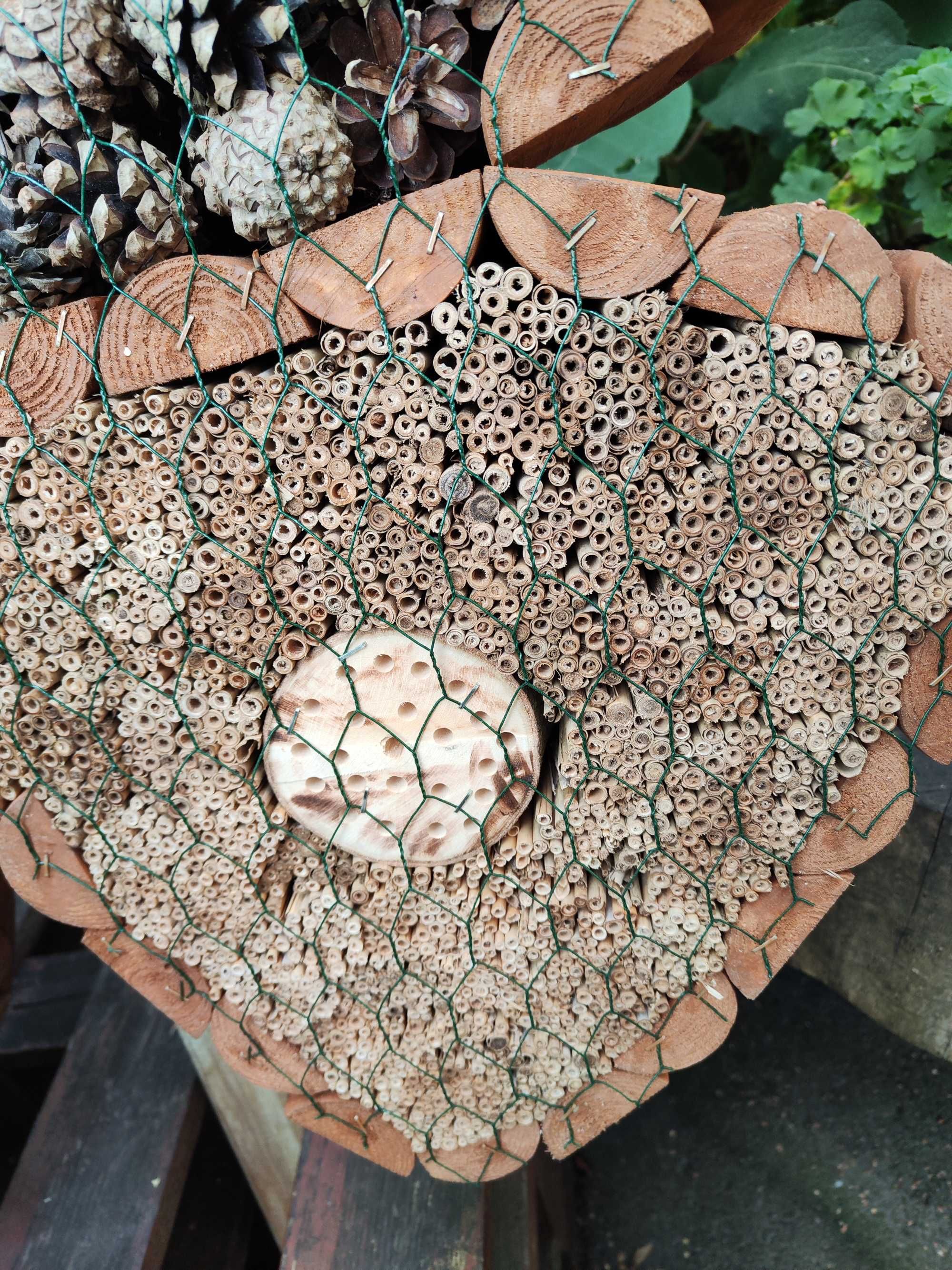 Domek dla owadów zapylających - motyl, pszczoła