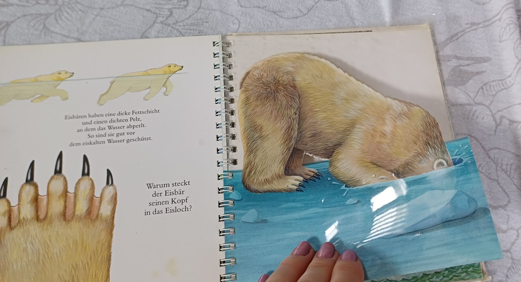 Książeczka w języku niemieckim edukacyjna uszkodzona