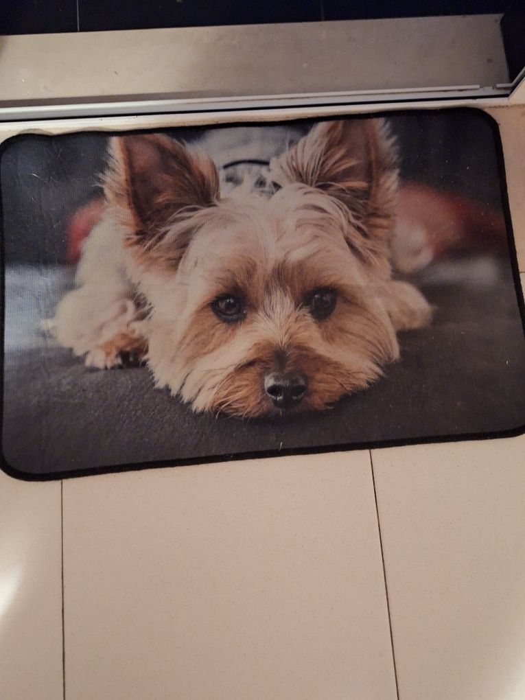 Tapete com foto de cachorro