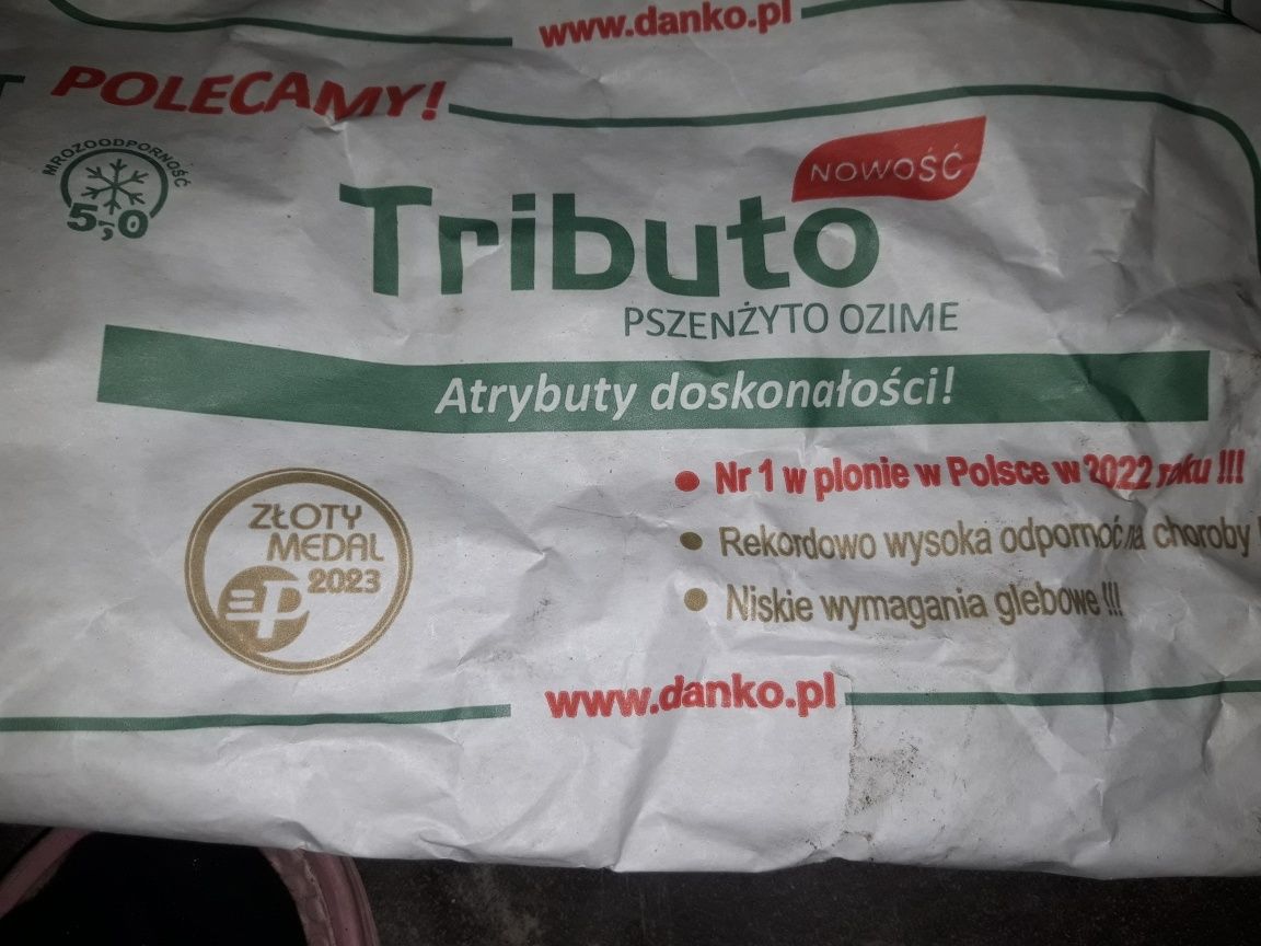 Pszenżyto tributo