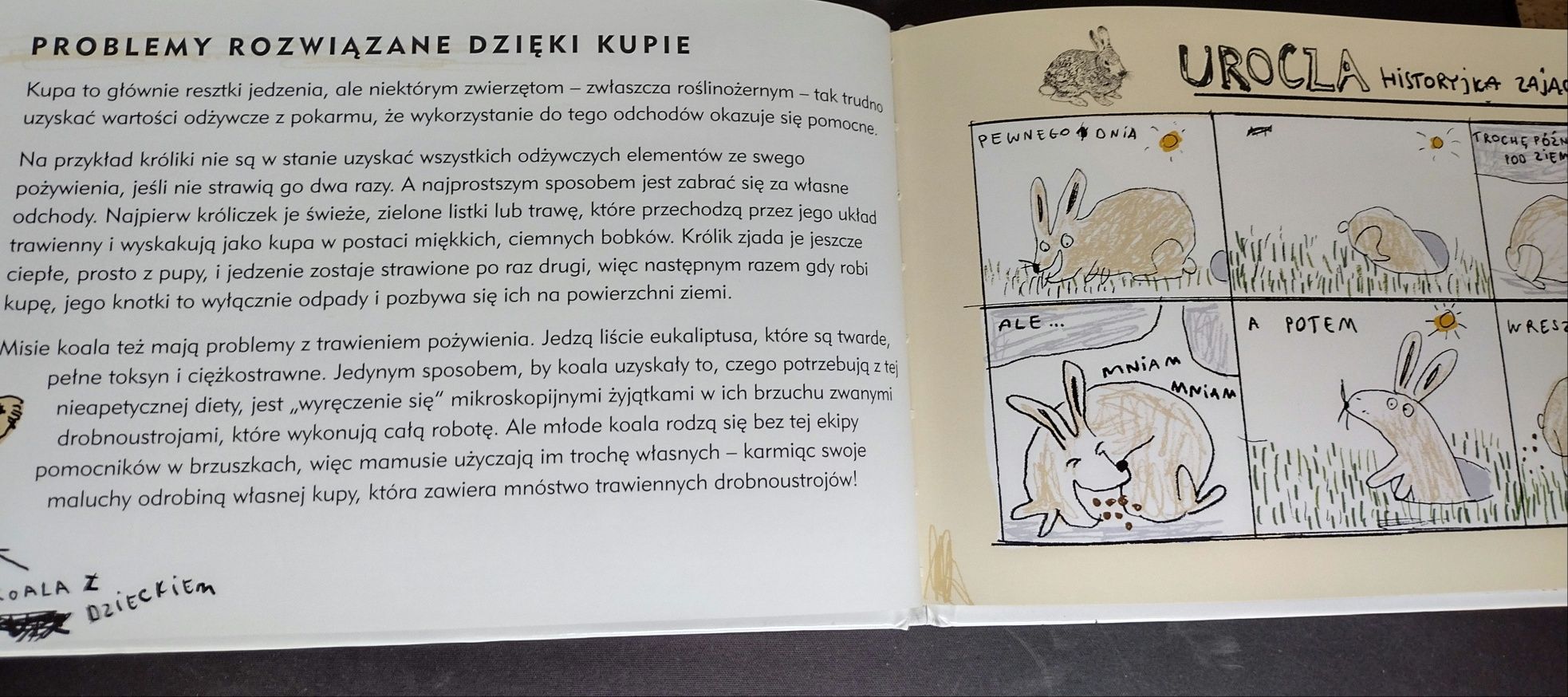 Kupa Nicola Davies
