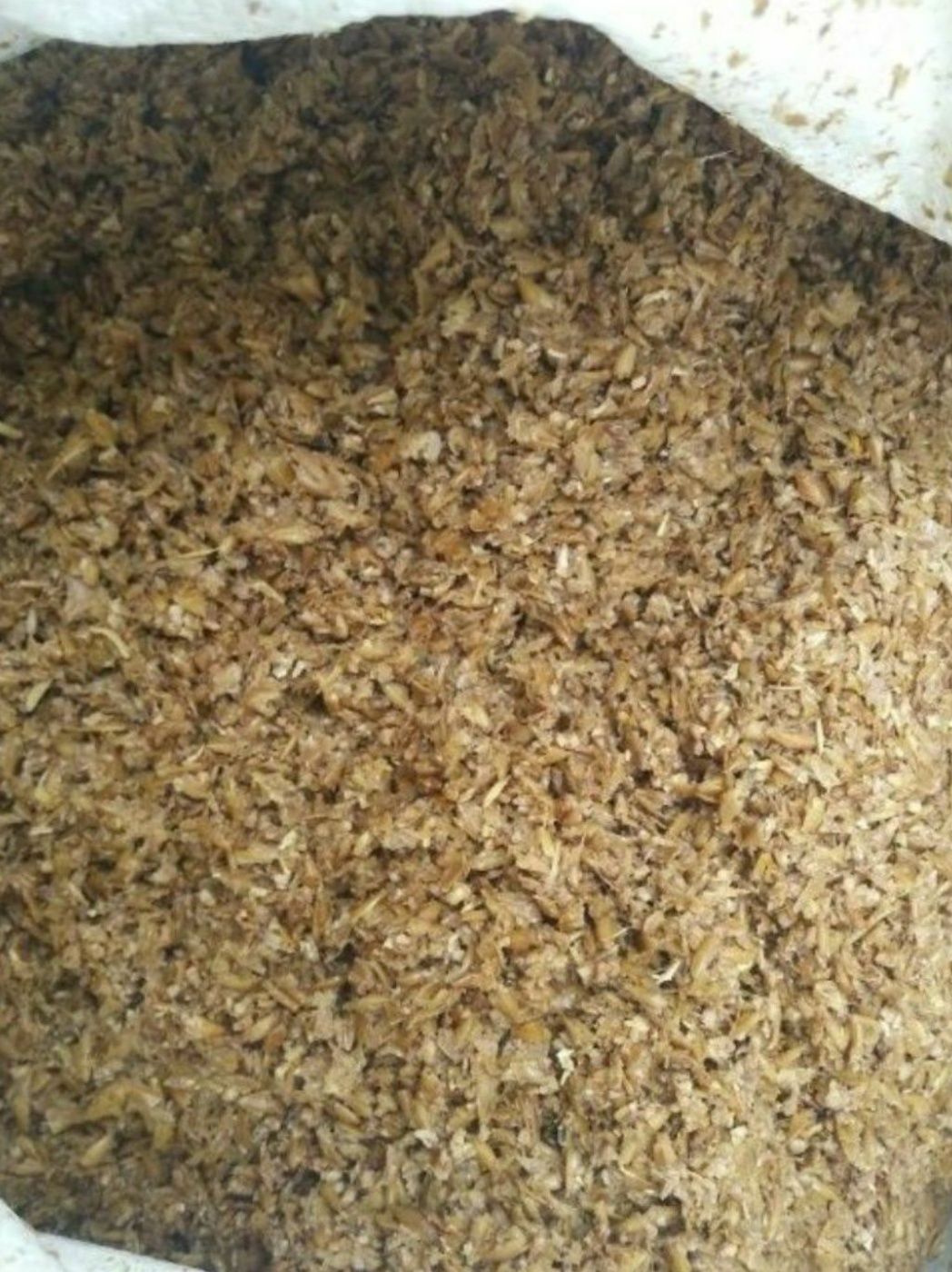 Пшеница, Ячмень дроблёный пропаренный 100 гр мешок 50-55кг