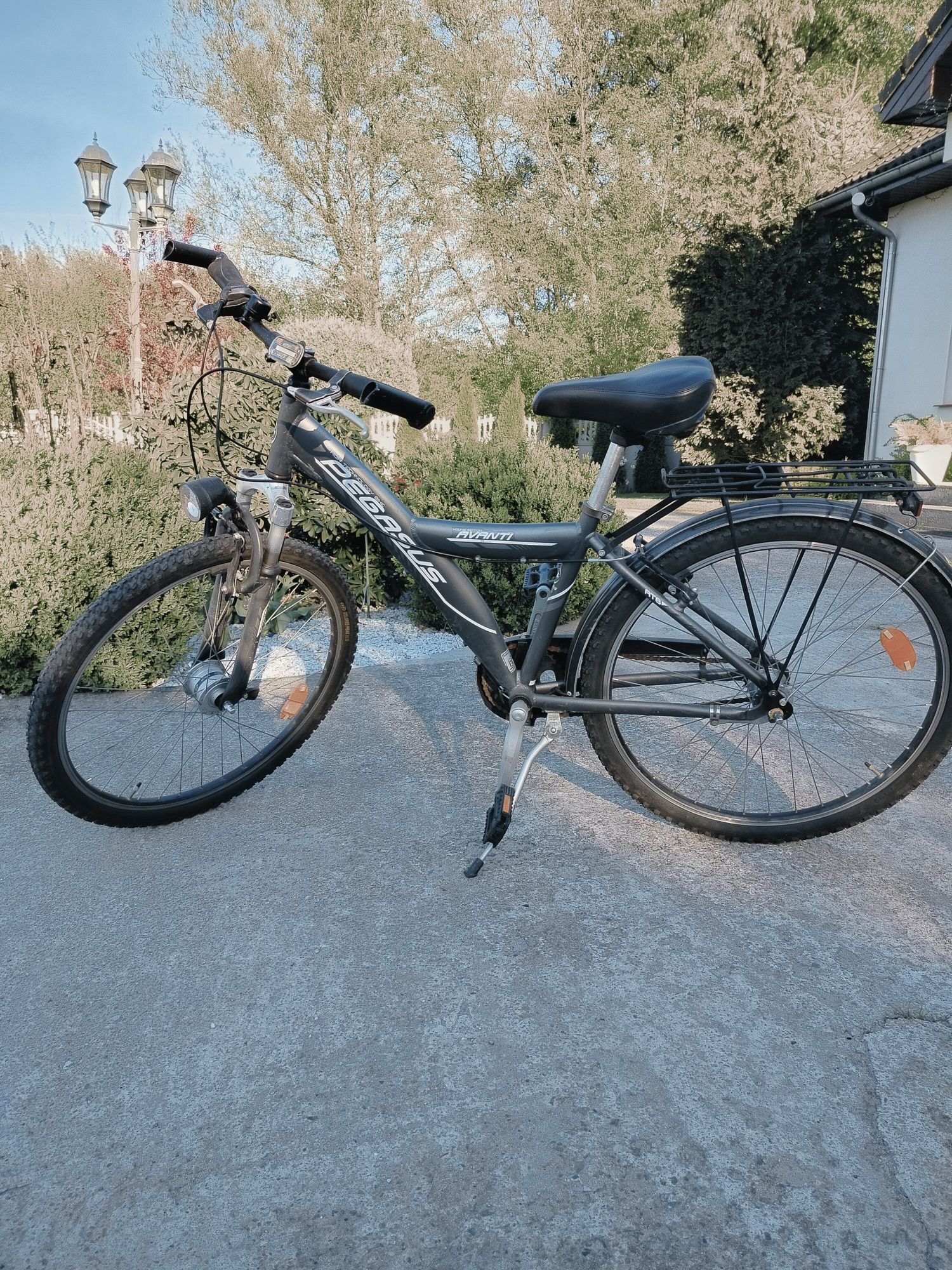 Rower Pegasus koła 26.