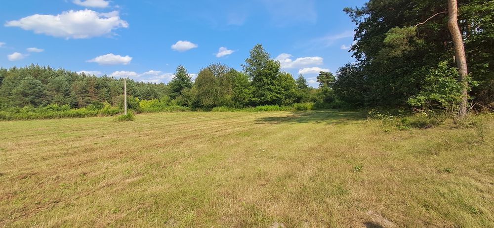 Sprzedam działkę w miejscowości Borów gm. Annopol