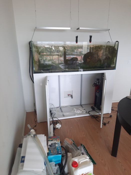 Aquario + móvel + filtros + lâmpadas + muitos acessórios