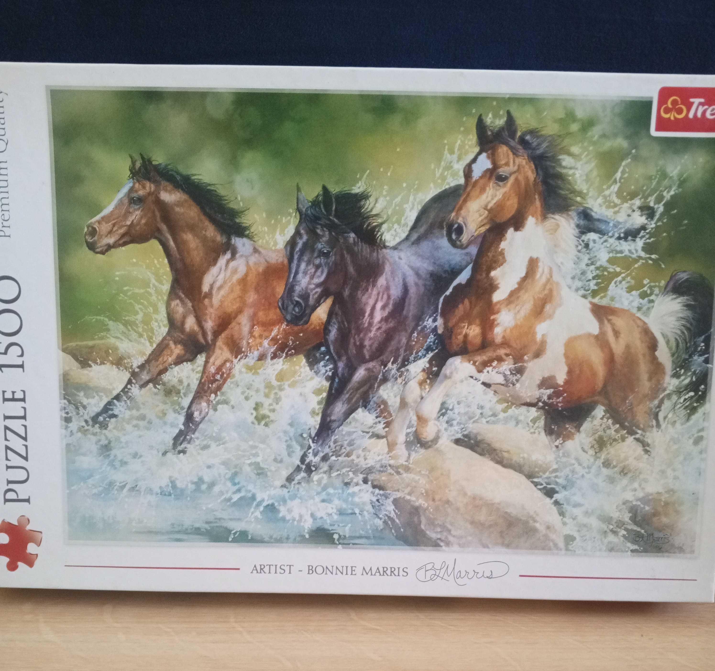 Puzzle 1500 elementów