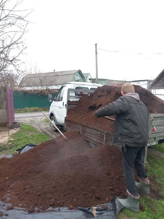 Кінський  перегній