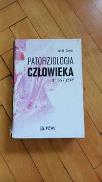 Patofizjologia człowieka w zarysie Guzek