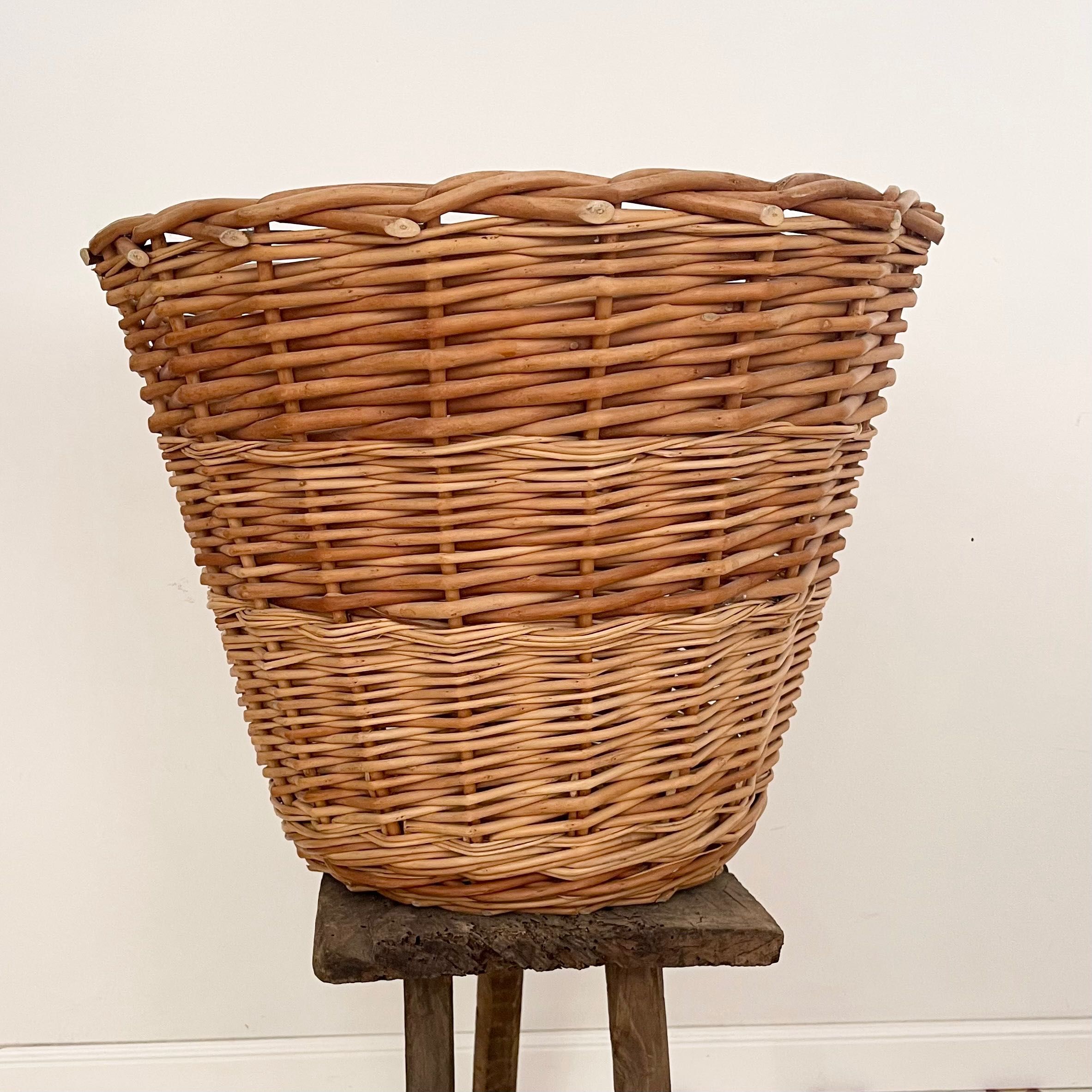 Cesta / Basket / Grande / Excellent Condion / 50cm x 60cm