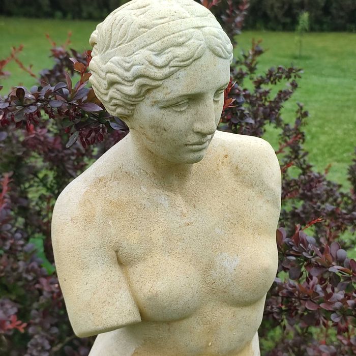 Rzeźba Ogrodowa Wenus