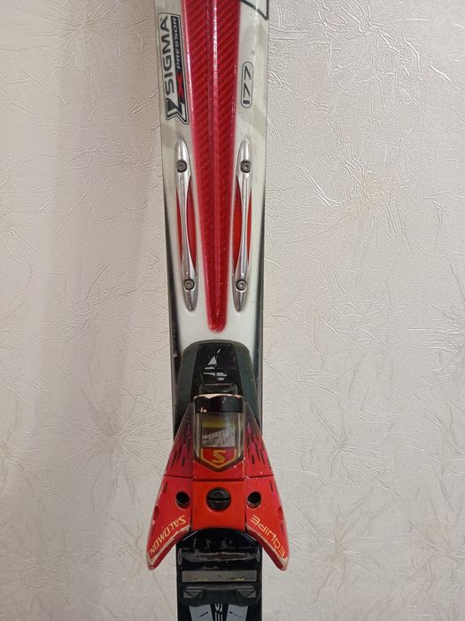 Лижі гірські. Черевики. Палки