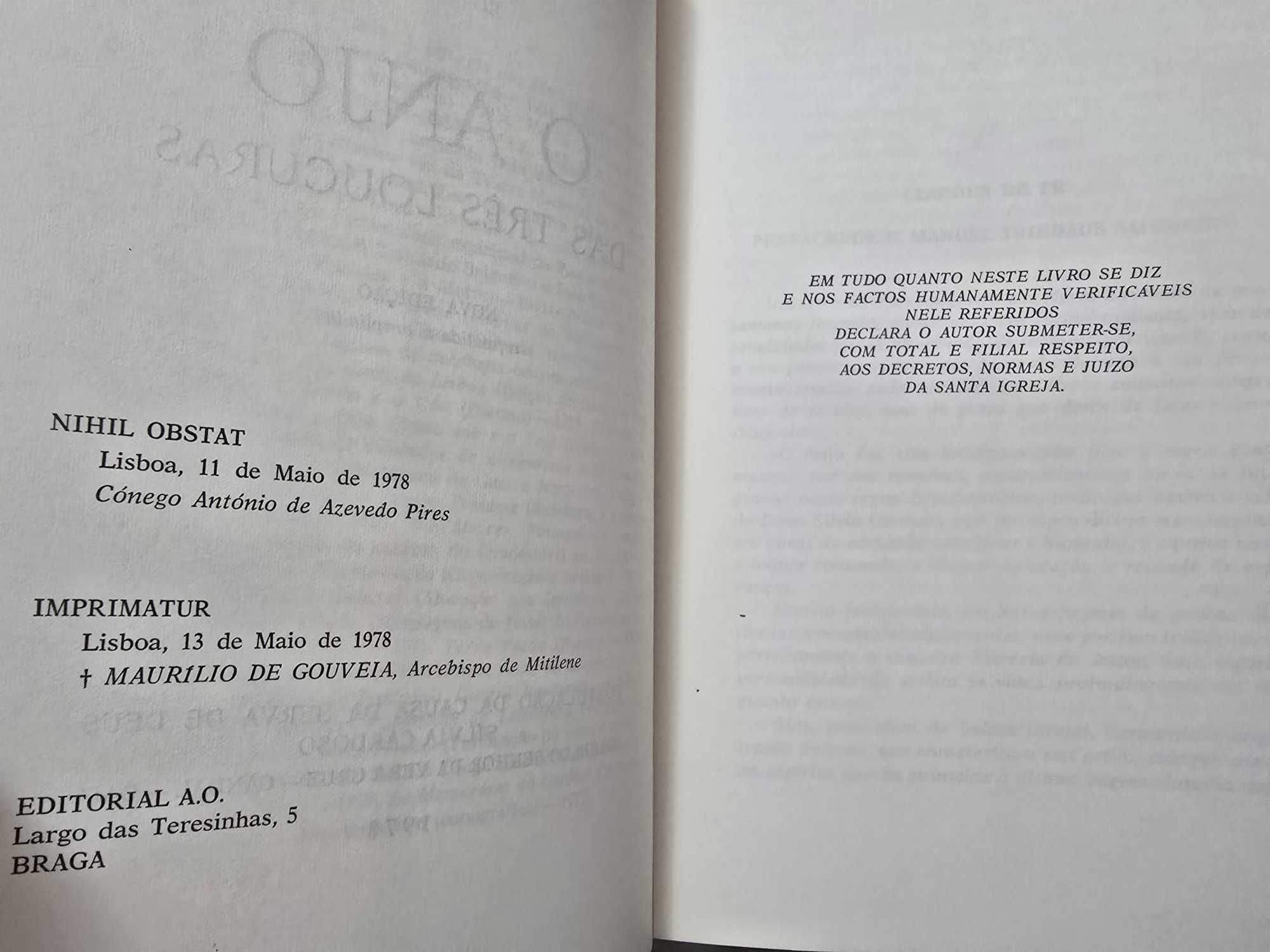 O Anjo das Três Loucuras – Sílvia Cardoso – Moreira das Neves