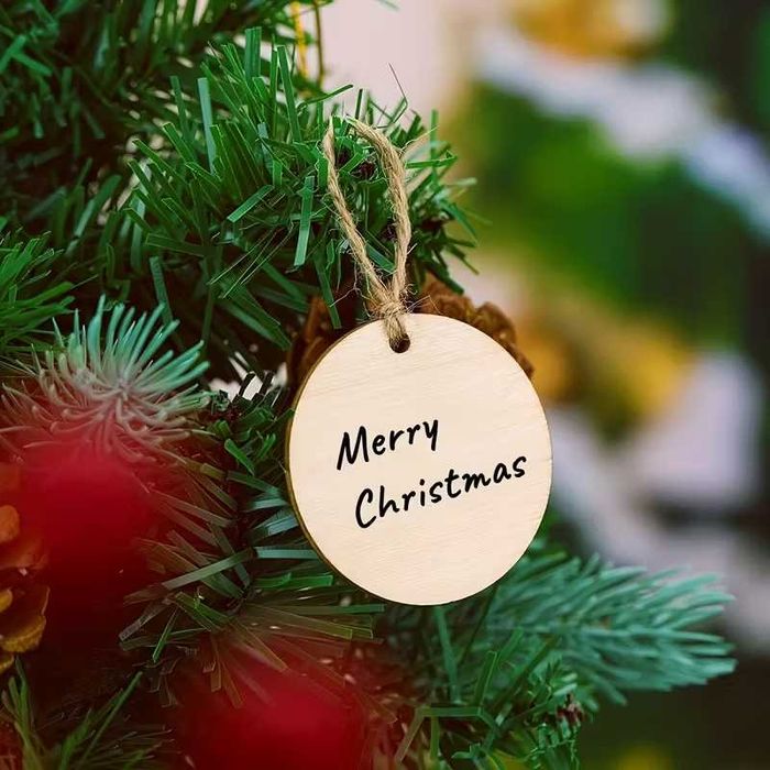 Círculos madeira com furo para artesanato