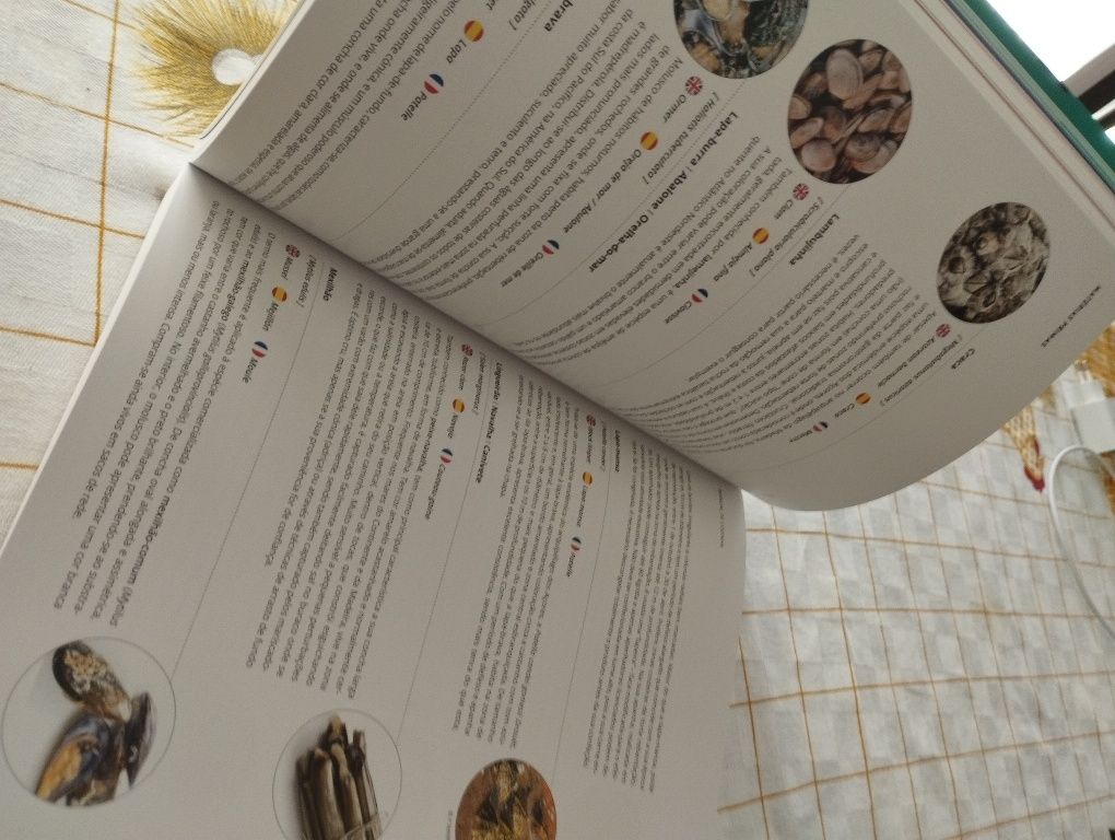 Livro "Tecnologia de Cozinha: Equipamentos e Produtos"