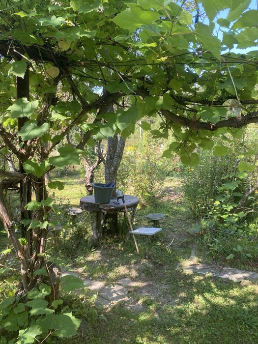 Продаж дачний будинок і прилегла земля