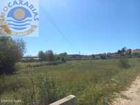Terreno de semeadura com agua