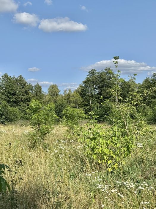 Продам фасадну земельну ділянку 3,3 Га!