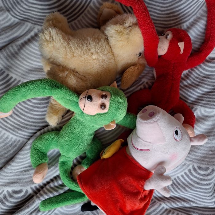 Maskotki peppa duża małpa małpki piesek